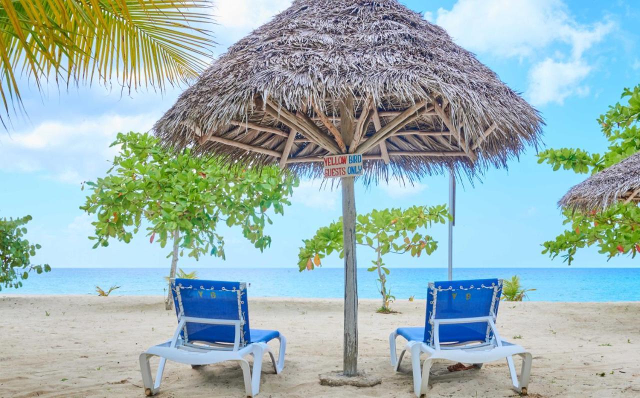 Yellow Bird Sea Negril Luaran gambar