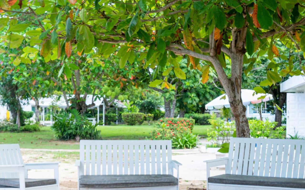 Yellow Bird Sea Negril Luaran gambar