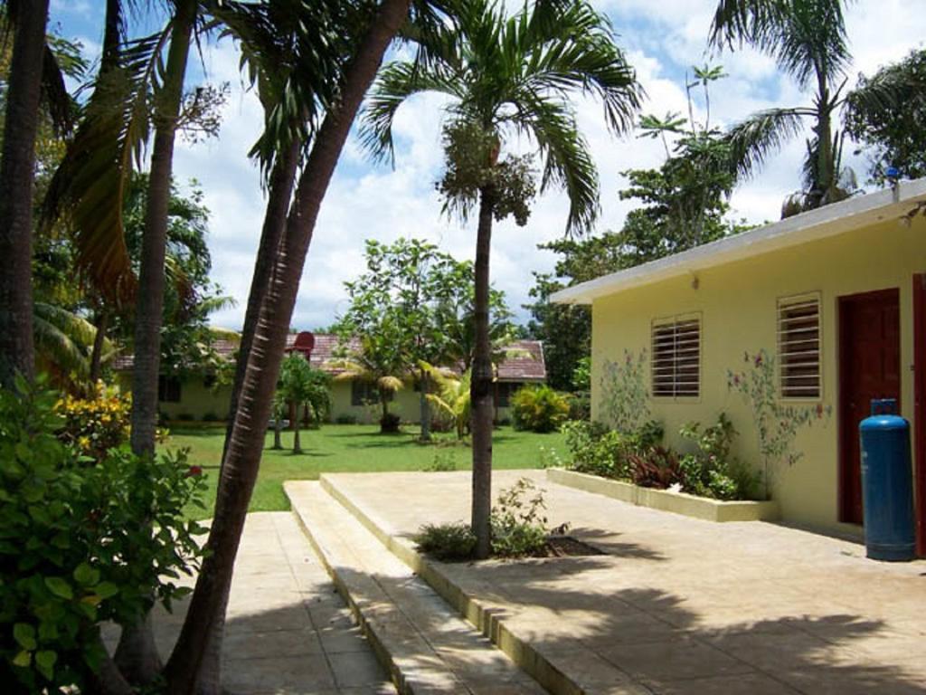 Yellow Bird Sea Negril Luaran gambar